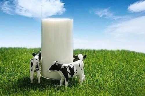 牛初乳是什么？有什么作用？中國(guó)十大牛初乳品牌排行榜一覽