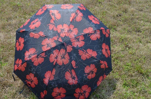 中國(guó)晴雨傘什么牌子比較好，晴雨傘十大品牌排名