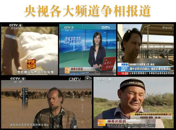 中國民族品牌網(wǎng) 中國民族品牌網(wǎng)