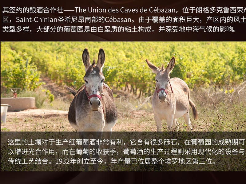 中國(guó)民族品牌網(wǎng) 中國(guó)民族品牌網(wǎng)