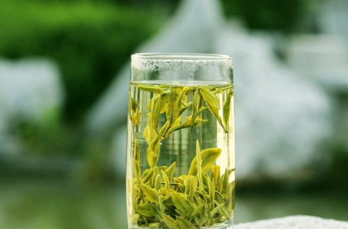 喝綠茶有什么好處 中國十大綠茶有哪些