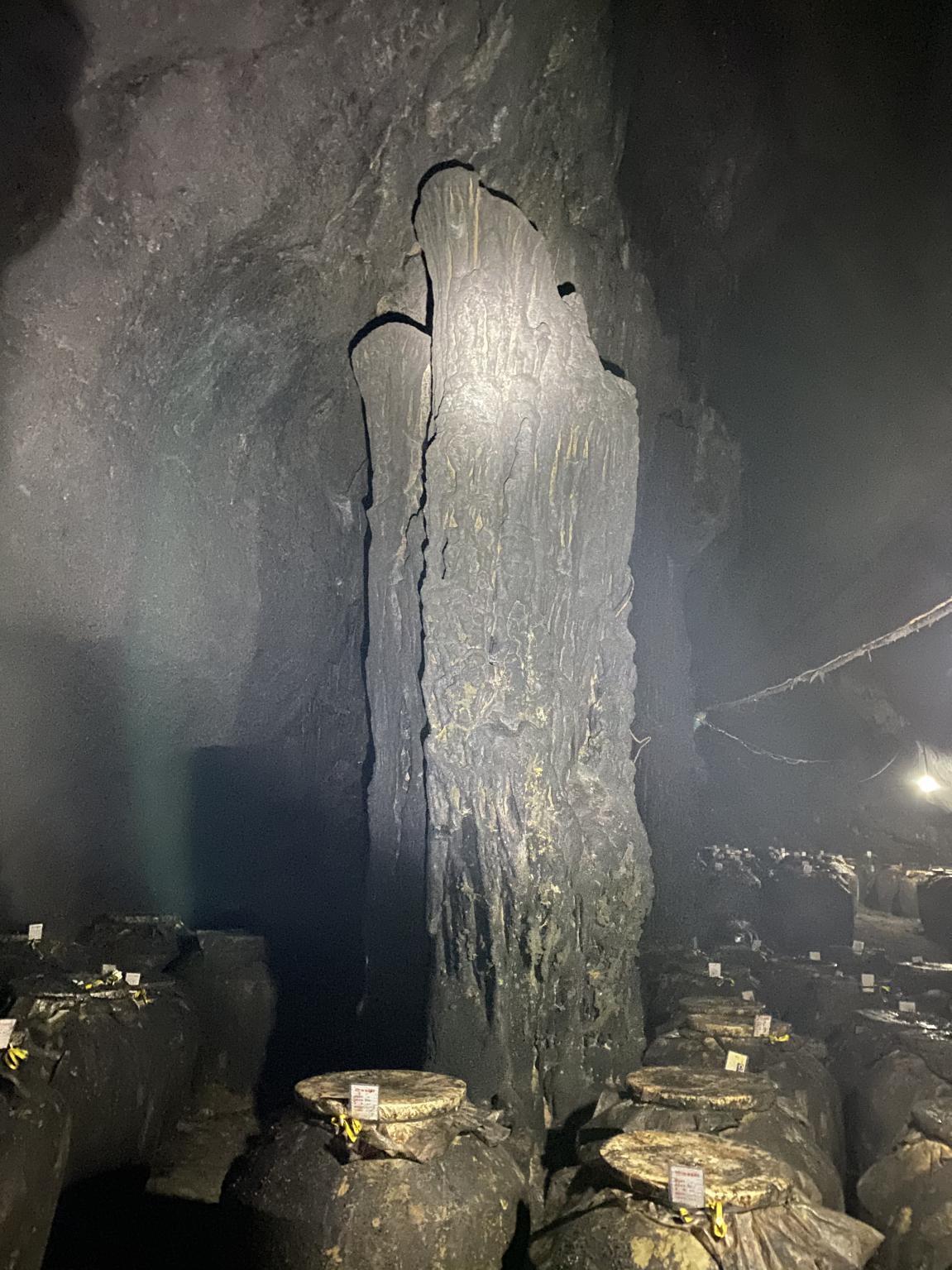 探索神奇的醉仙洞，愛(ài)上醉仙洞神獸序列洞釀洞藏老酒