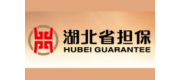 湖北省擔(dān)保品牌