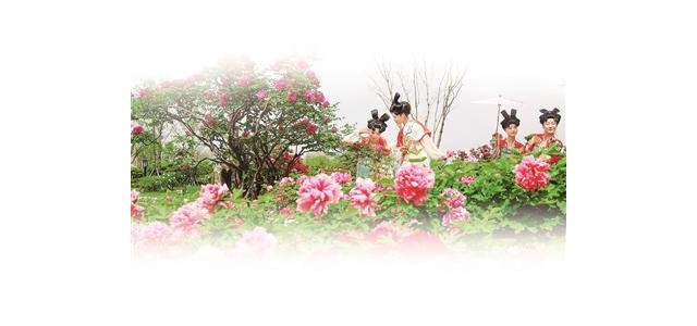 圍繞推動(dòng)文化和旅游融合發(fā)展，我市將著力打造一批能立、能呼、能傳的知名品牌。