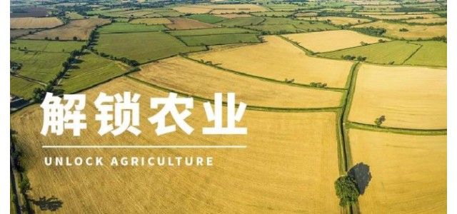 高啟杰等：三大電商平臺上，優(yōu)勢區(qū)域特色品牌占據(jù)較大市場份額
