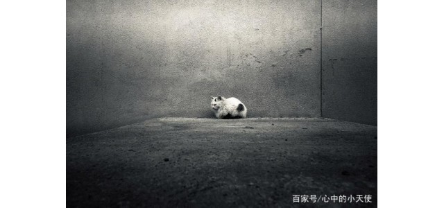 關于現(xiàn)代的「未來自閉癥」，專家怎么說？