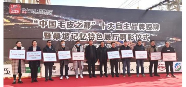 南莊鎮(zhèn)桑坡村十大自主品牌榮耀出爐！