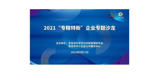 做強(qiáng)做大“專業(yè)化、創(chuàng)新型”企業(yè)專題沙龍熱議