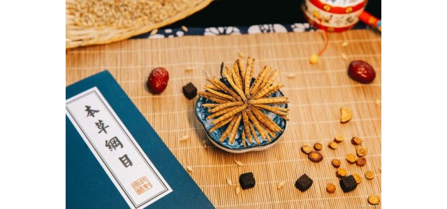 中藥第一民族品牌，股價從163元跌到53元，曾經(jīng)的龍頭還能漲嗎？