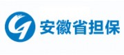 安徽省擔(dān)保集團